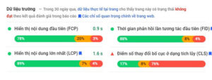 Thông tin về các chỉ số Core Web Vitals trên website