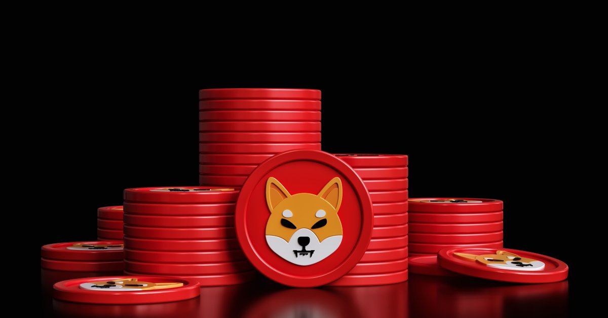 Shiba-Inu-la-gi-3