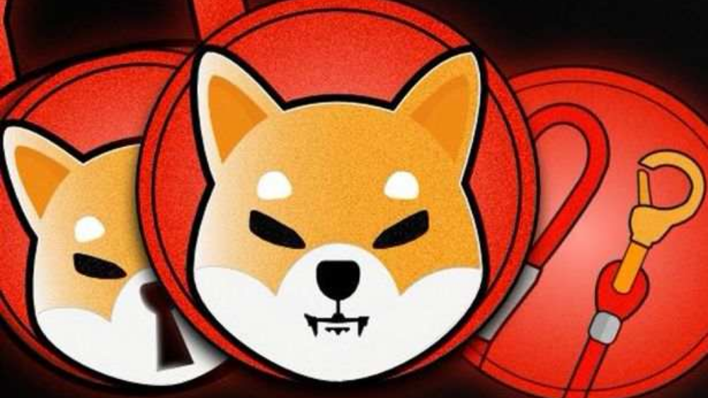 Shiba-Inu-la-gi-2