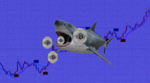 Cá voi, cá mập Bitcoin là gì?