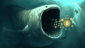 Có 2 cách để cá mập Bitcoin thao túng thị trường