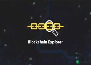 Blockchain Explorer là gì?