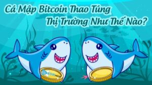cá mập bitcoin là gì