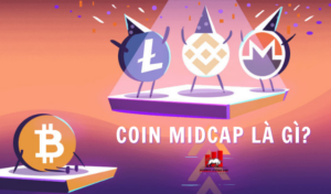 Mid Cap Coin là gì?