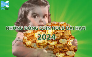 những đồng coin hold dài hạn 2024