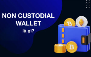 Non Custodial Wallet là gì