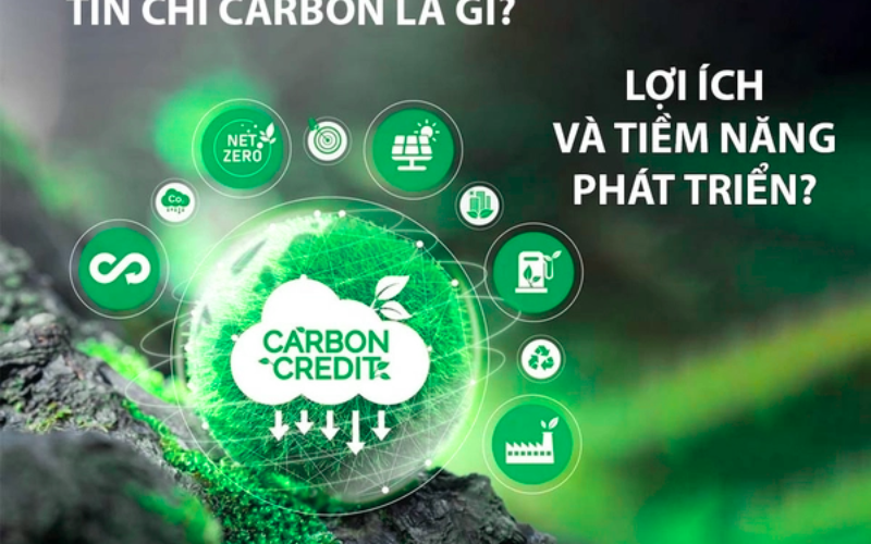 san-giao-dich-tin-chi-carbon-4