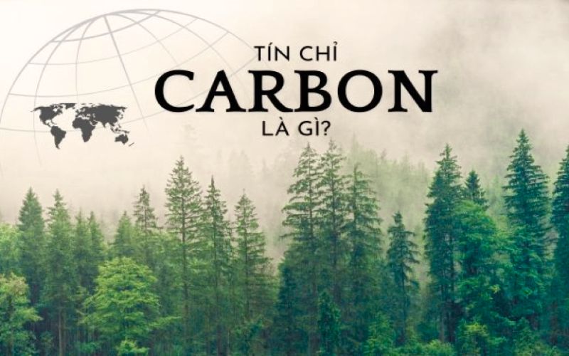 san-giao-dich-tin-chi-carbon-1