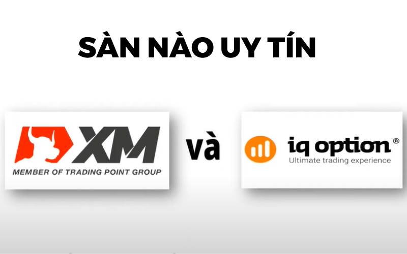 so-sanh-san-iq-option-va-xm
