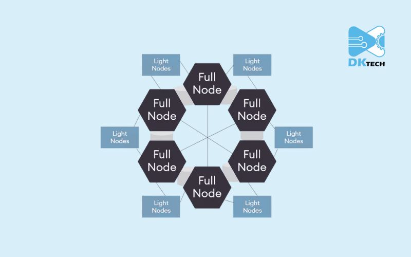 Các-node-trong-mang-blockchain-4