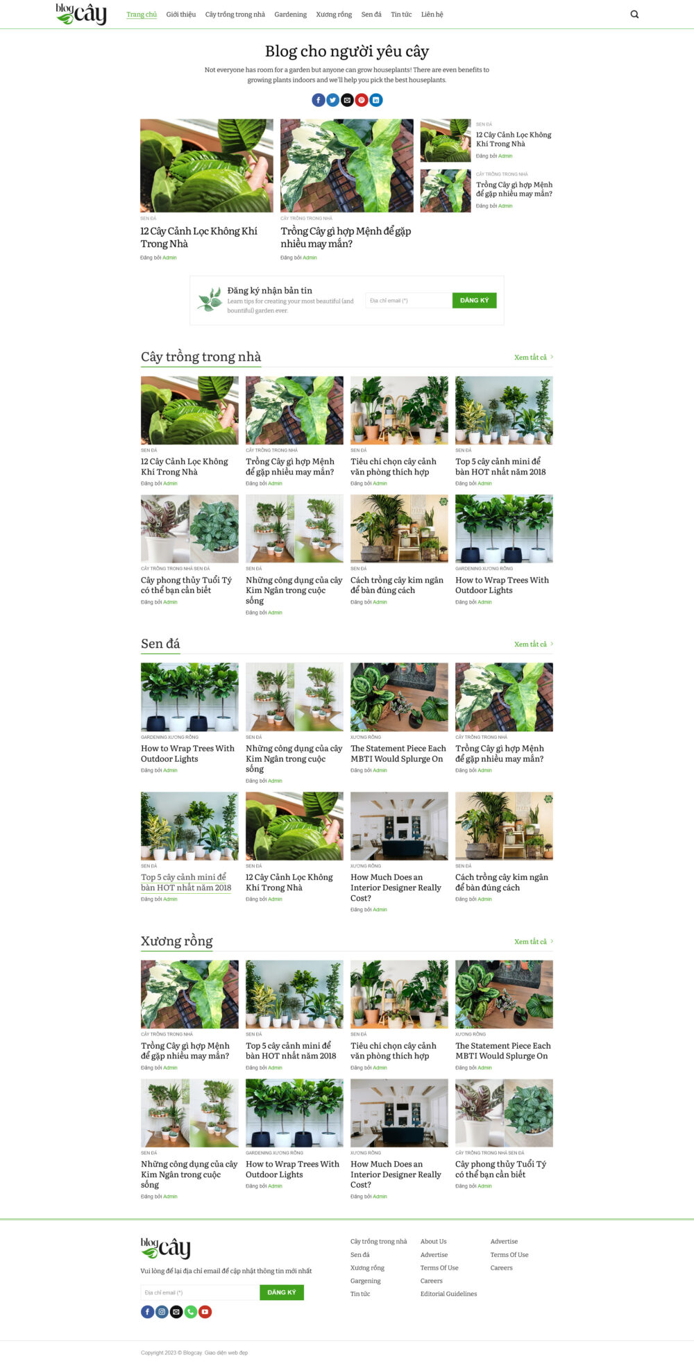 Website Tin Tức 12