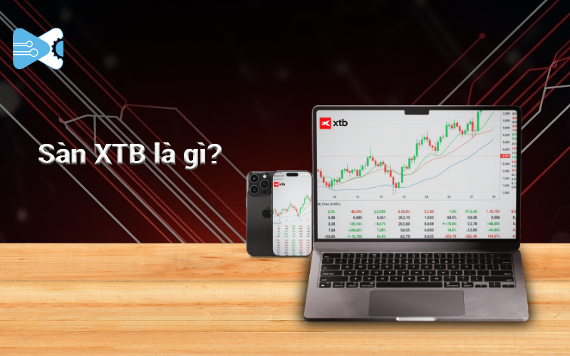 XTB la gi