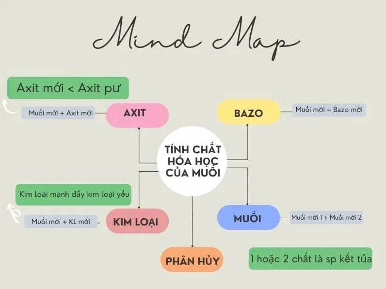 1-tong-quan-ve-muoi
