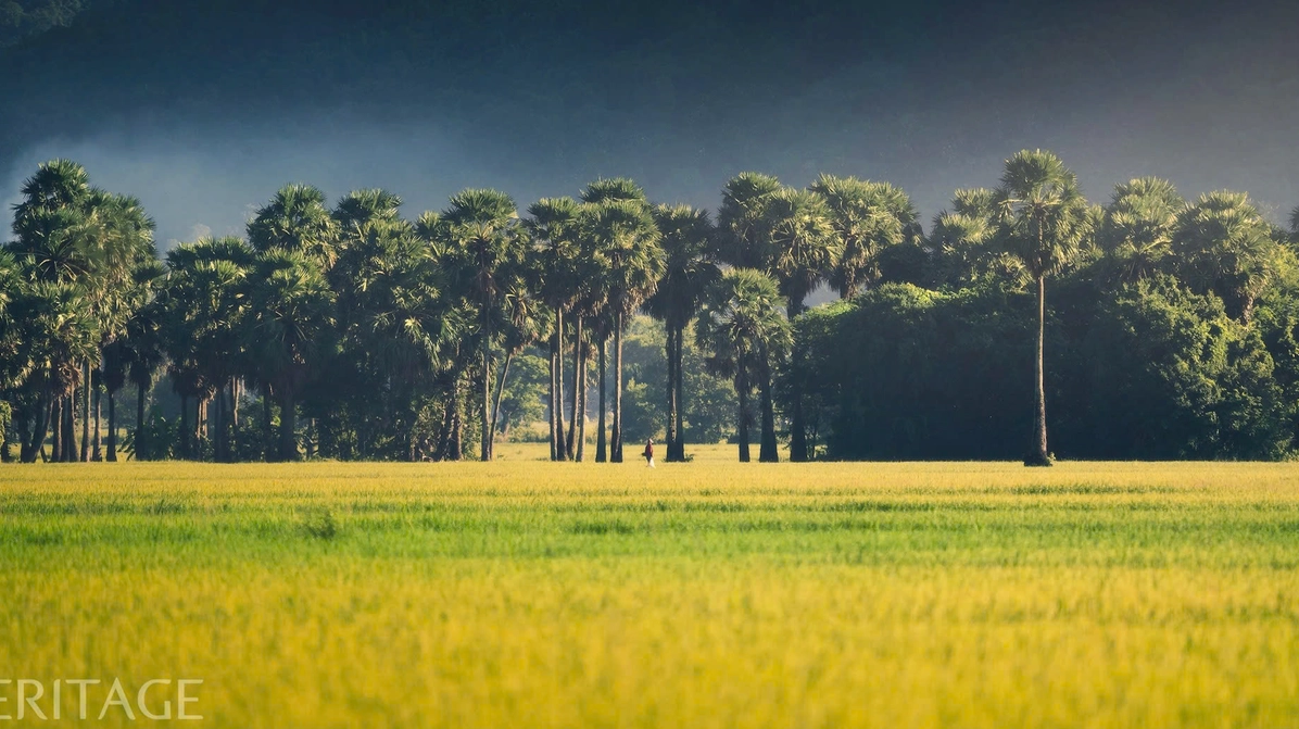 An Giang đại diện cho vẻ đẹp miền Tây