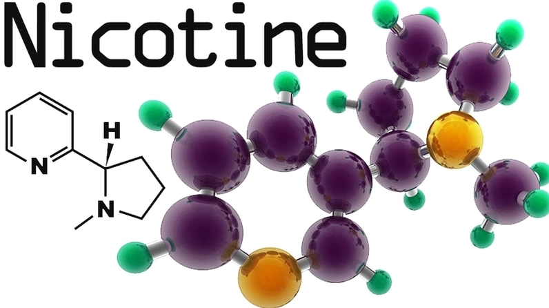 Ảnh hưởng của Nicotine đến sức khỏe