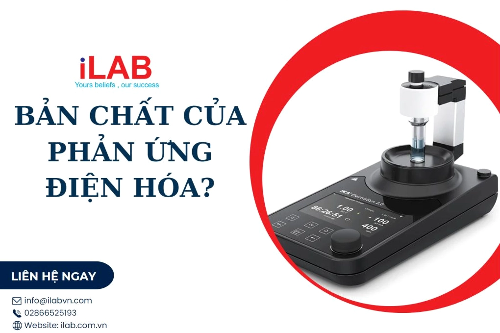 Bản chất và các loại phản ứng hóa học