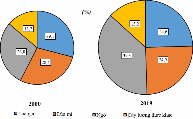 Bảng số liệu cơ cấu sản lượng lương thực thế giới năm 2000 và 2019