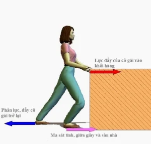 Bật Mí Công Thức Lực Ma Sát: Toàn Tập Từ A-Z Năm 2026