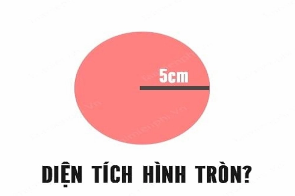 Biết chu vi hình tròn có thể tính được diện tích dễ dàng