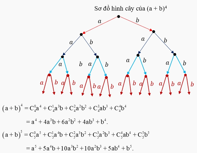 Biểu diễn công thức nhị thức Newton