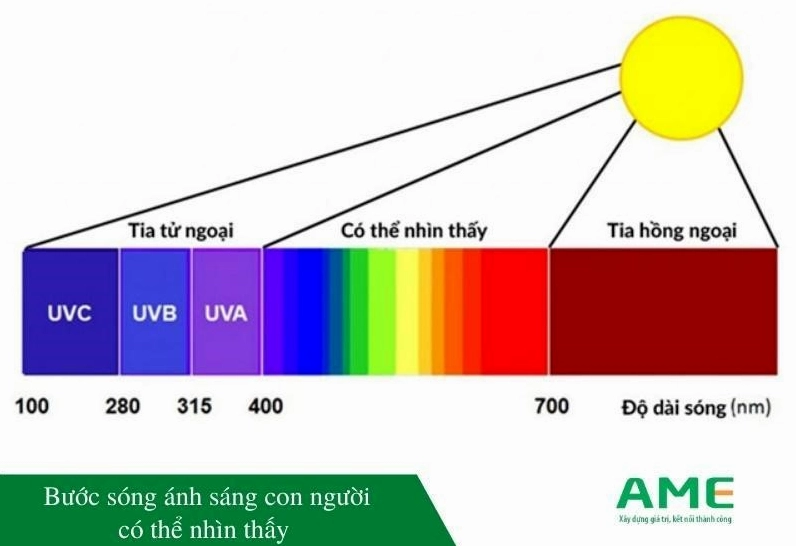 Bước sóng ánh sáng con người có thể thấy