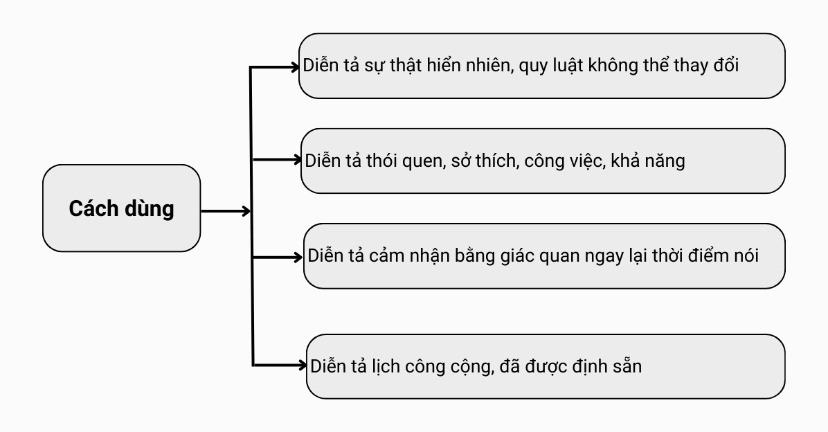 Cách dùng thì hiện tại đơn lớp 6
