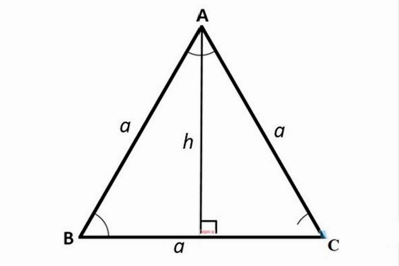 Cách tính diện tích tam giác đều khi biết độ dài một cạnh