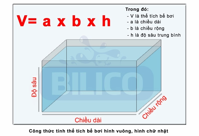 Cách tính lượng nước trong hồ cá: Hướng dẫn chi tiết cho người mới