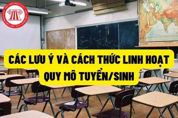 Cách tính quy mô tuyển sinh đại học như thế nào?