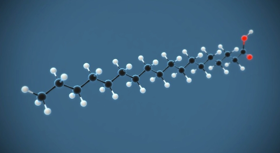 Cấu tạo phân tử của Stearic acid
