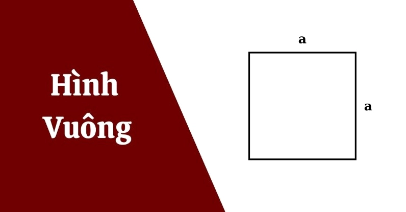 chi vi hình vuông