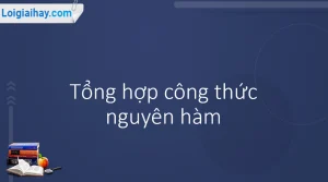 Chinh Phục Công Thức Nguyên Hàm Cơ Bản: Hướng Dẫn Chi Tiết & Bài Tập Thực Hành