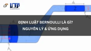 Công Thức Bernoulli: Giải Mã Phép Thử Xác Suất & Ứng Dụng Đa Dạng 2026