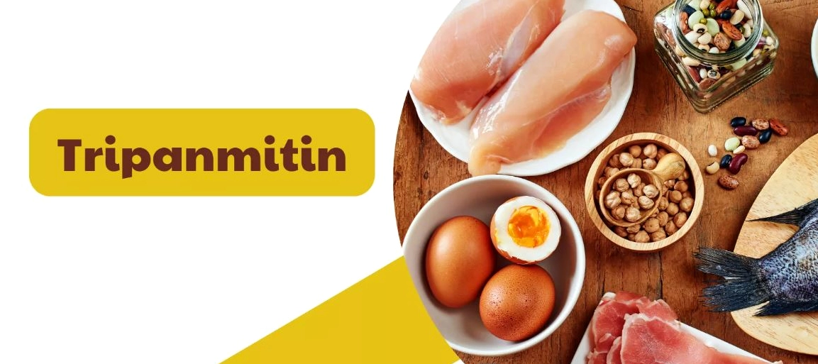 công thức của tripanmitin