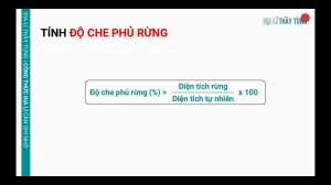 Công Thức Độ Che Phủ Rừng: Chìa Khóa Đánh Giá Sức Khỏe Môi Trường Việt Nam 2026