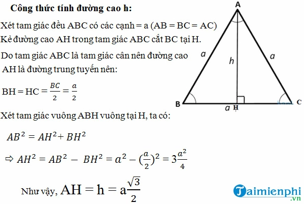 Công Thức Đường Cao Trong Tam Giác Cân: Hướng Dẫn Chi Tiết và Ứng Dụng Thực Tiễn