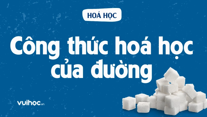 Công Thức Hóa Học Của Đường Saccharose, Glucose, Fructose