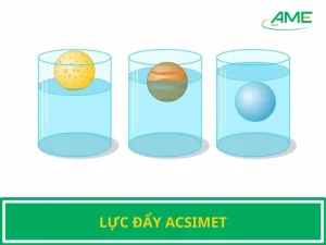 Công Thức Lực Đẩy Acsimet: Giải Mã Hiện Tượng Nổi Và Ứng Dụng Đời Sống 2026