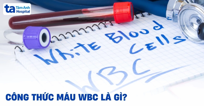 Công thức máu WBC là gì? Dùng để đo cái gì? Những điều cần biết