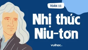 Công Thức Nhị Thức Newton: Khám Phá Lý Thuyết & Ứng Dụng Từ A-Z