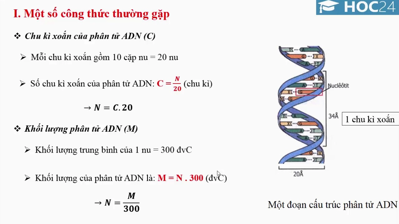 Công thức tính chu kì xoắn: Hướng dẫn chi tiết và ứng dụng trong bài tập