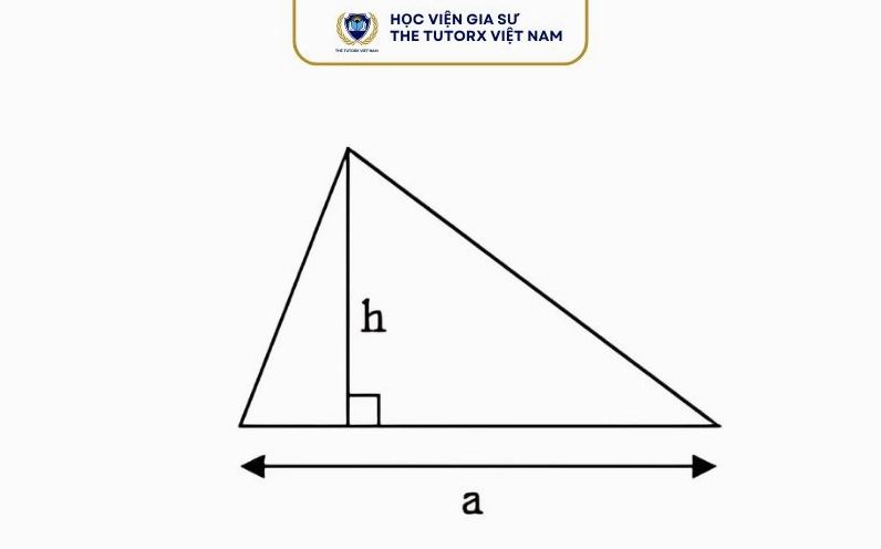 Công thức tính diện tích hình tam giác