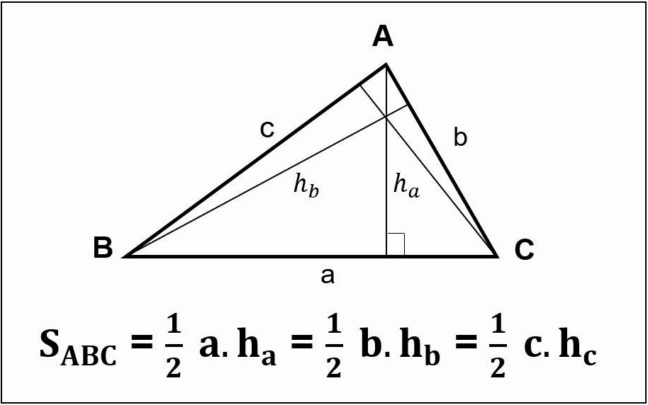 Công Thức Tính Diện Tích Tam Giác: Hướng Dẫn Chi Tiết và Dễ Hiểu