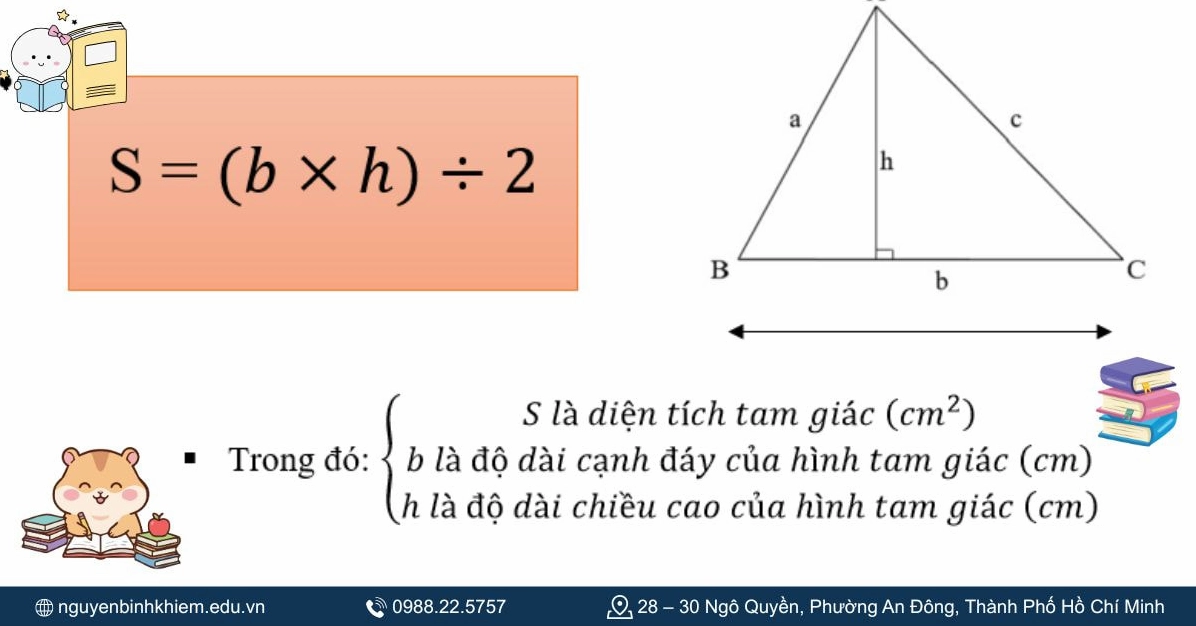 Công thức tính diện tích tam giác vuông cơ bản