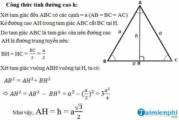 Công thức tính đường cao: Hướng dẫn chi tiết cho mọi loại tam giác 2026