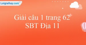 Công Thức Tính Giá Trị Xuất Khẩu: Nắm Vững Để Tăng Cường Vị Thế 2026