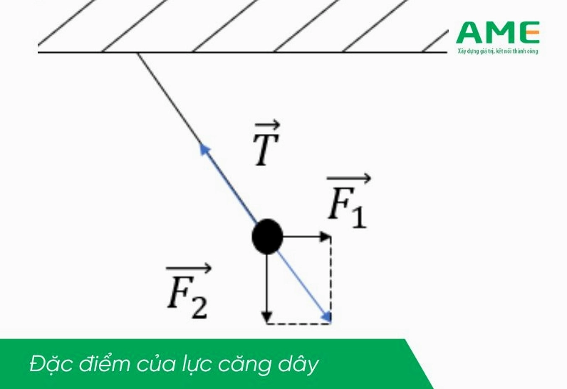 Đặc điểm của lực căng dây