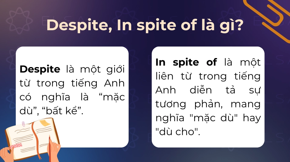 Despite và In spite of rất hay bị nhầm lẫn trong tiếng Anh