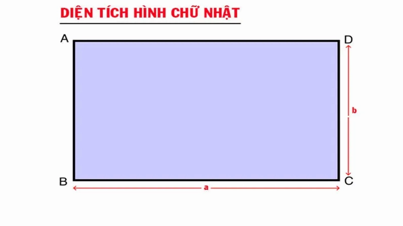 dien-tich-hinh-chu-nhat-3