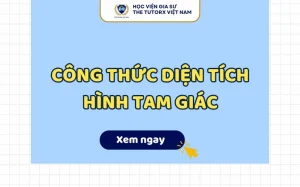 Diện Tích Tam Giác Công Thức: Hướng Dẫn Toàn Diện 2026 Cực Chuẩn!